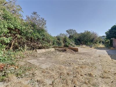 Picture 17
